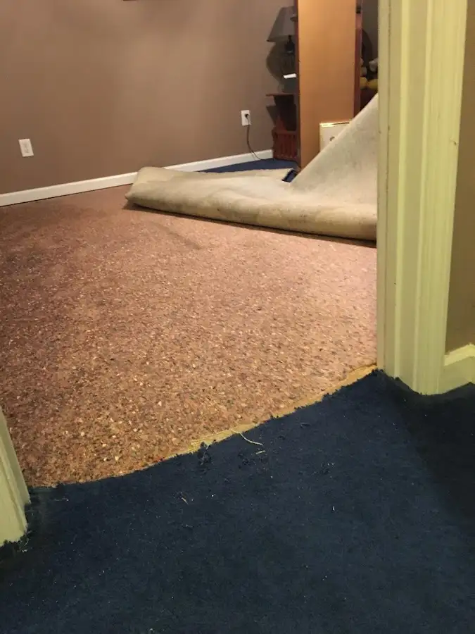 Carpet pad removal revealing water damage during Water Mitigation Services in Lockwood
